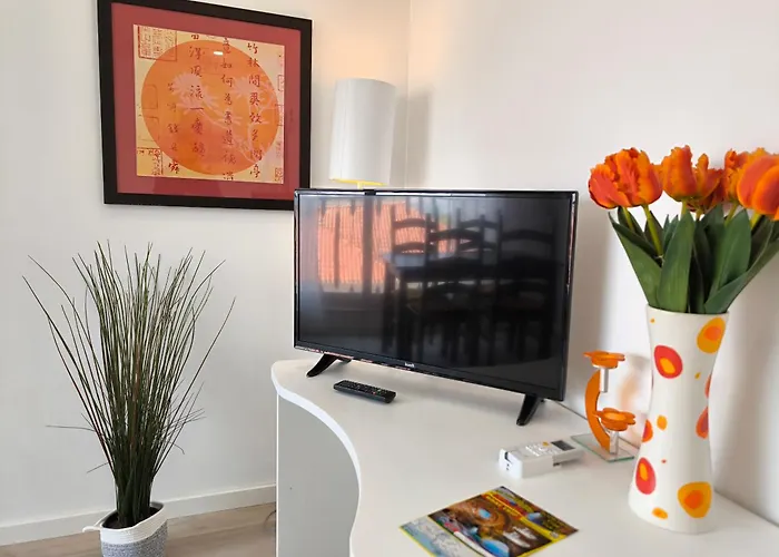 Riomar Da Rocha Apartament